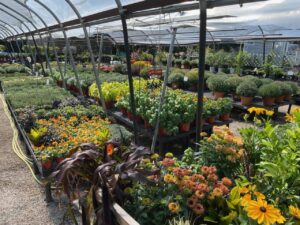 IMG 1879 (1) IMG 1879 (1)